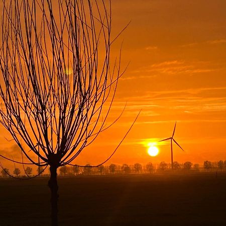 B&B Hieris'T Hoofdplaat Exteriér fotografie