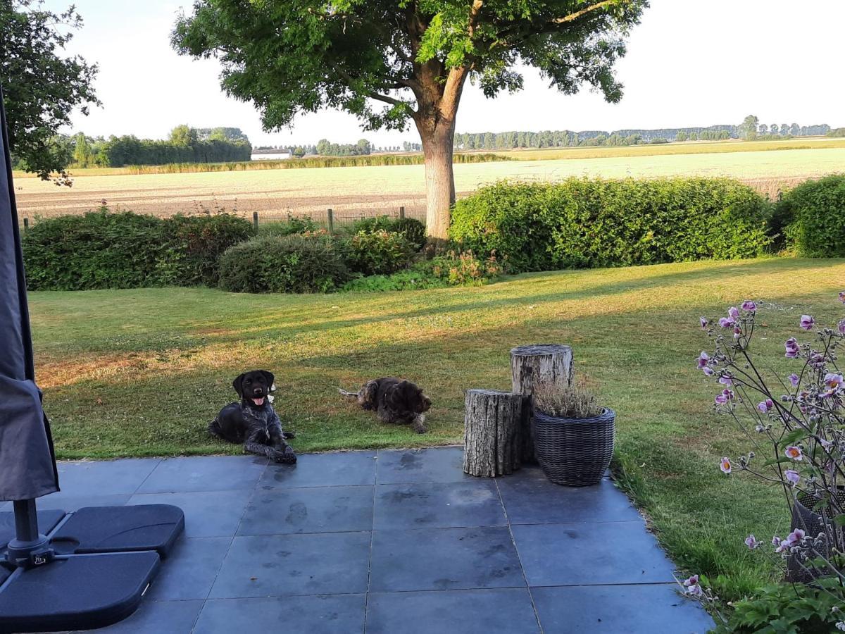 B&B Hieris'T Hoofdplaat Exteriér fotografie