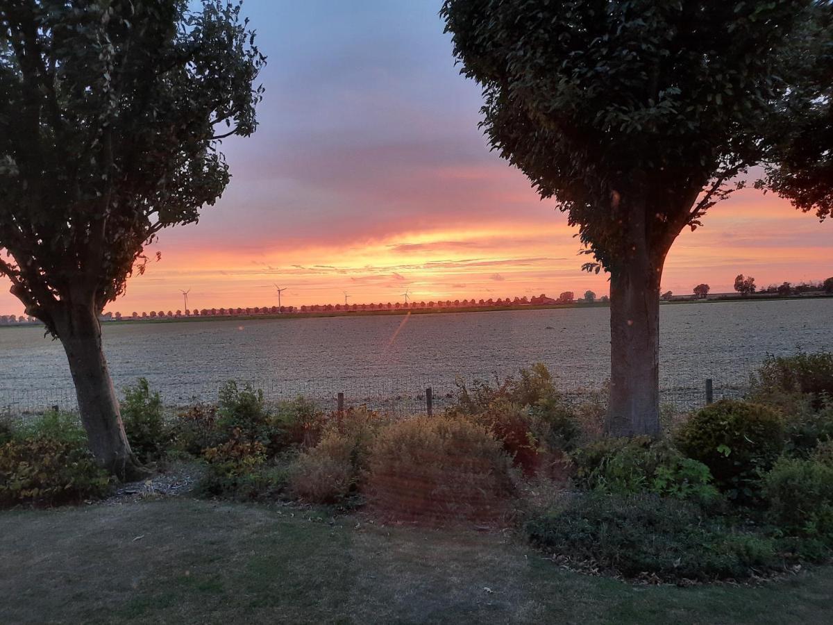 B&B Hieris'T Hoofdplaat Exteriér fotografie