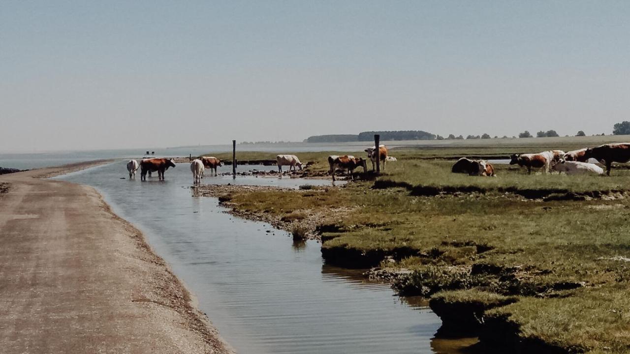 B&B Hieris'T Hoofdplaat Exteriér fotografie
