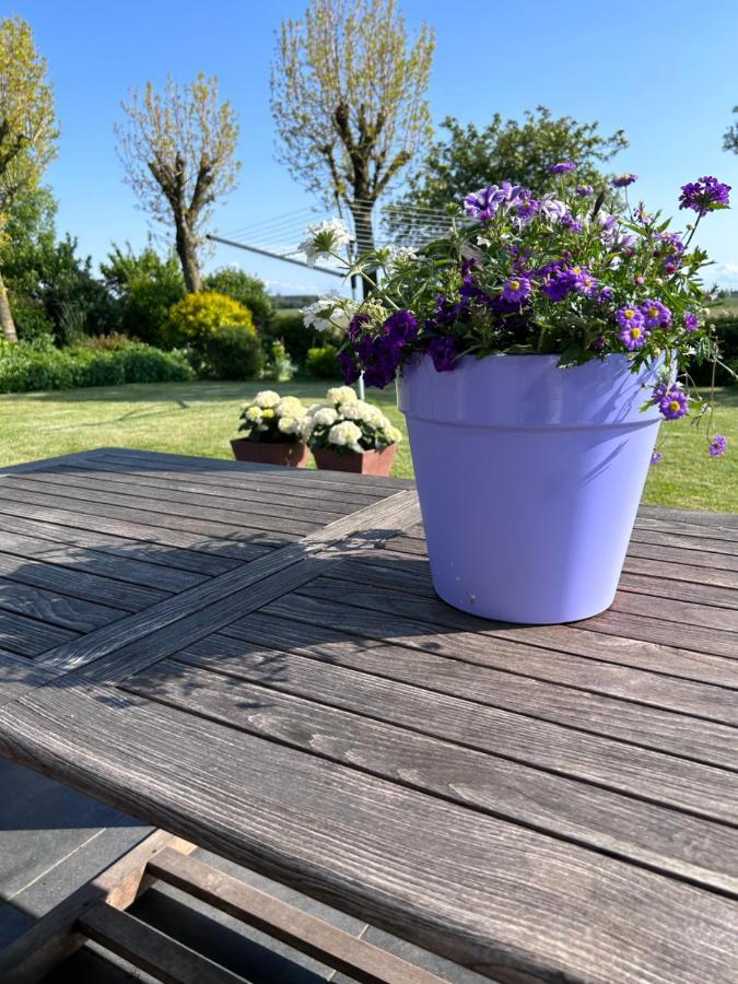 B&B Hieris'T Hoofdplaat Exteriér fotografie