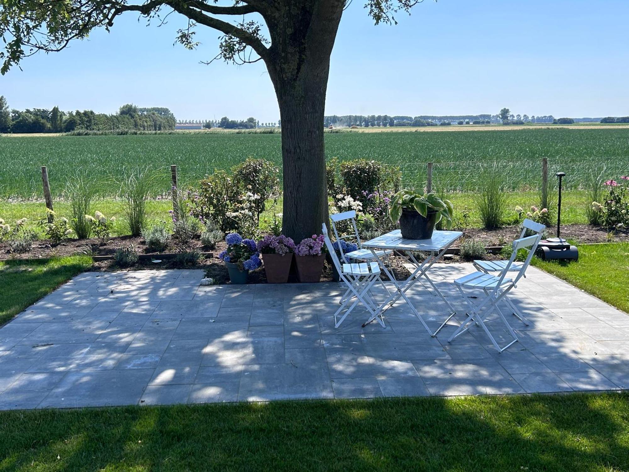 B&B Hieris'T Hoofdplaat Exteriér fotografie