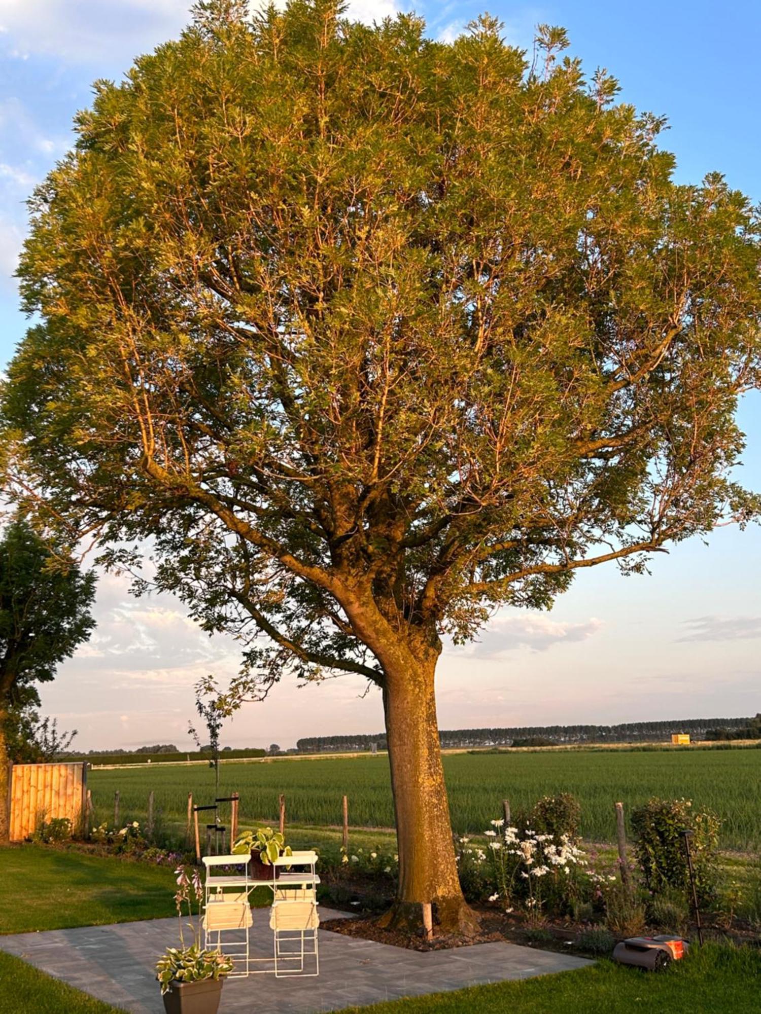 B&B Hieris'T Hoofdplaat Exteriér fotografie