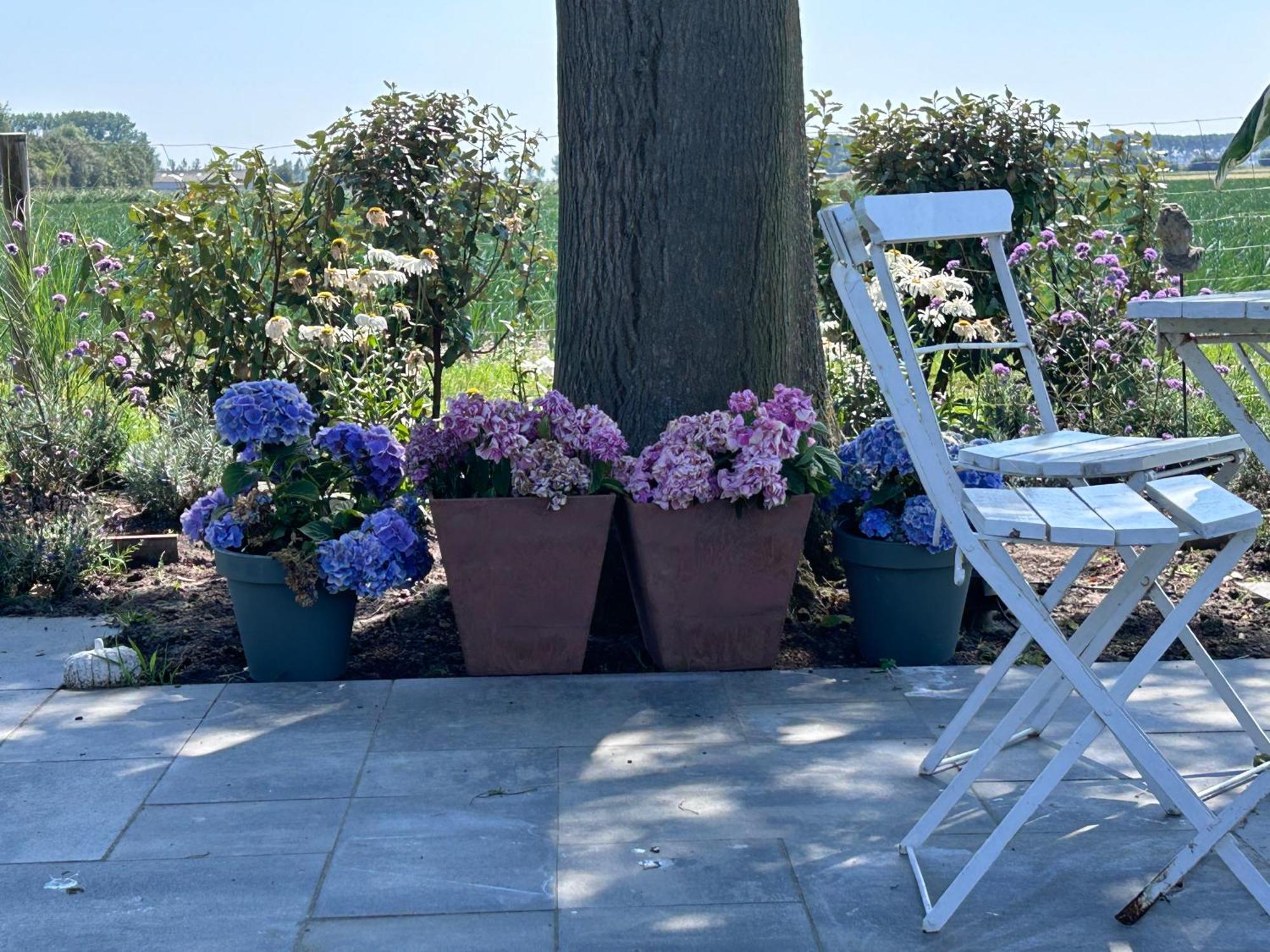 B&B Hieris'T Hoofdplaat Exteriér fotografie