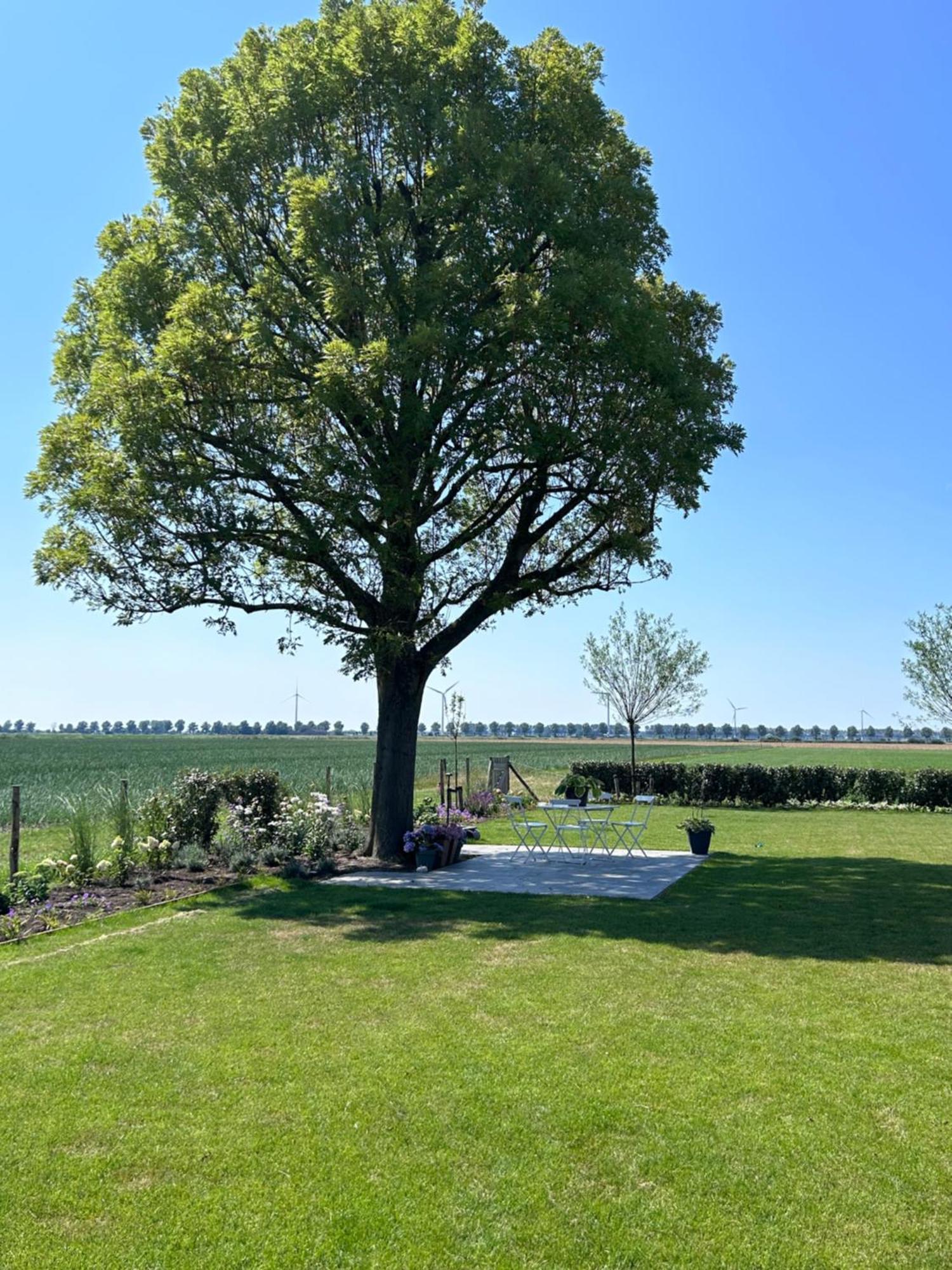 B&B Hieris'T Hoofdplaat Exteriér fotografie