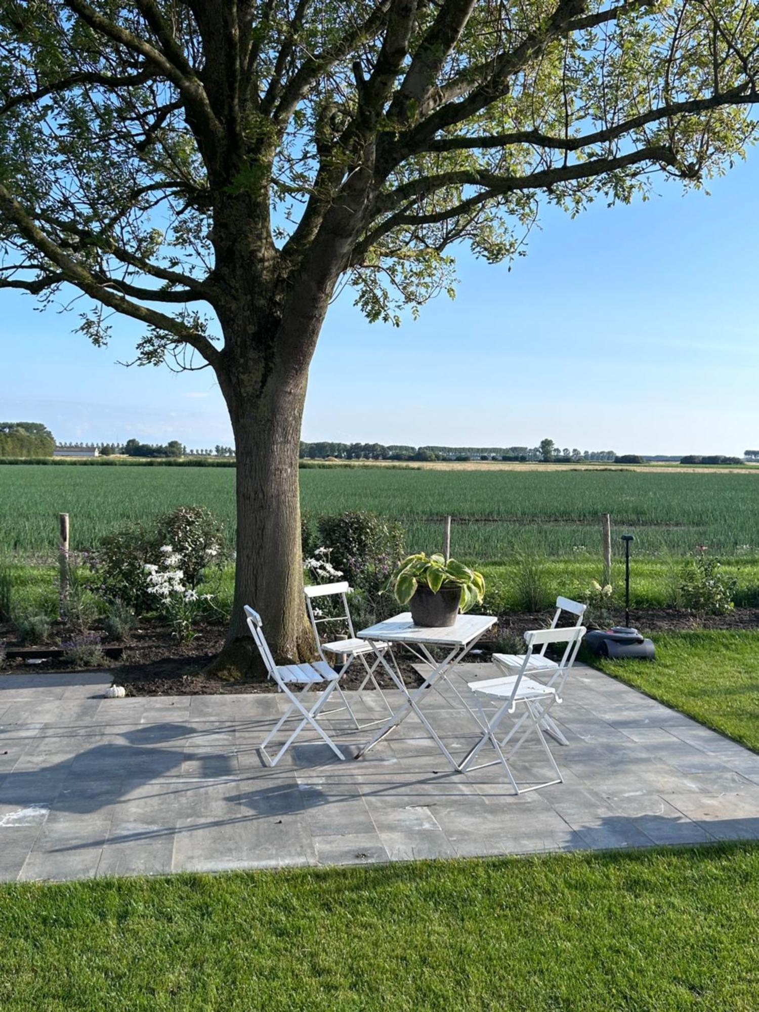 B&B Hieris'T Hoofdplaat Exteriér fotografie