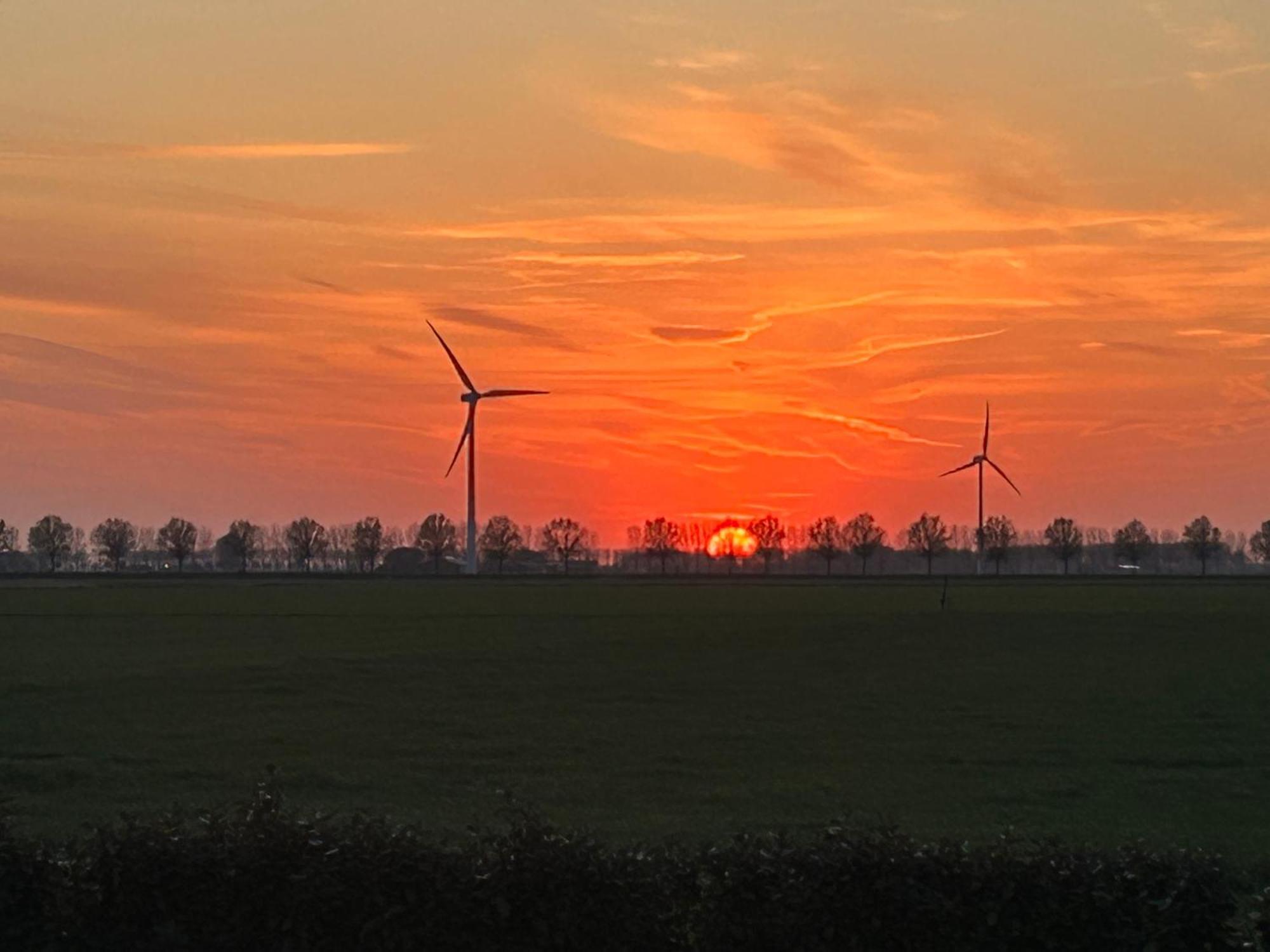 B&B Hieris'T Hoofdplaat Exteriér fotografie