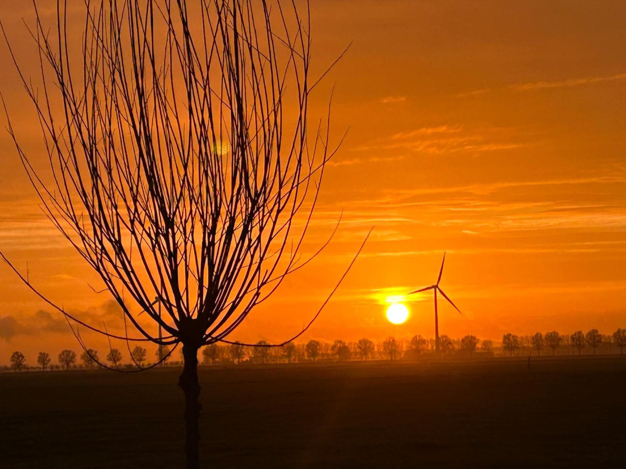 B&B Hieris'T Hoofdplaat Exteriér fotografie